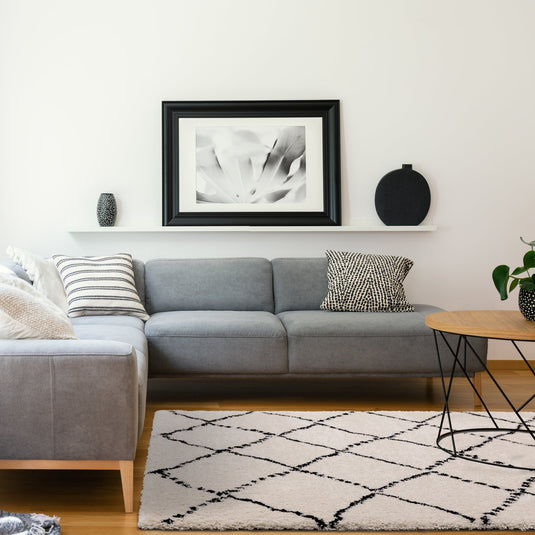 Bring new life to your living room with the right area rug.