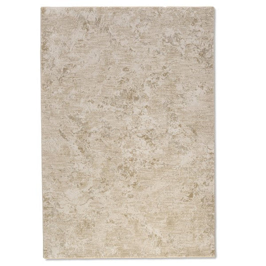 Artistry Soft Indoor Area Rug ARY-59